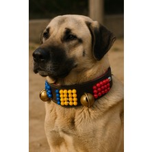 Feyza Design El Işçiliği Deri Köpek Tasma, Boncuklu ve Zarif Tasarım