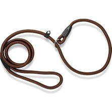 Feyza Design Küçük Irk Köpek Eğitim Tasması, Kahverengi, 0.6 Cm, Dayanıklı ve Konforlu