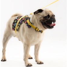 Feyza Design Ayarlanabilir Küçük Irk Köpek Göğüs ve Gezdirme Ipi Seti