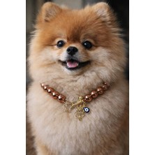 Feyza Design Şık Büyük Inci Köpek Kolyesi Bronztan, Zarif ve Parlak Tasarım