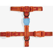 Feyza Design Şirin ve Konforlu Köpek Göğüs Tasması, Güvenle Kullanılır