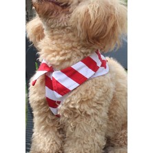 Feyza Design Ayarlanabilir Köpek Koşum ve Göğüs Gövde Tasması, Bandanalı ve Aksesuarlı