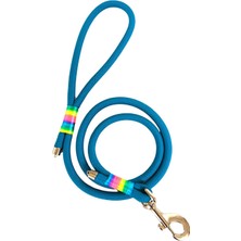 Feyza Design Sağlam Köpek Gezdirme Kayışı, 130 cm x 1,2 Cm, Konforlu Kullanım