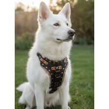 Feyza Design Çok Renkli Orta ve Büyük Irk Hakiki Deri Köpek Göğüs Tasması