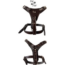 Feyza Design Küçük Irklar Için Suni Deri Gladyatör Tasma, M-L Beden Uyumlu