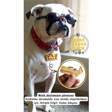 Feyza Design Kişiye Özel Kedi ve Köpek Isimli Taçlı Çıngıraklı Künye