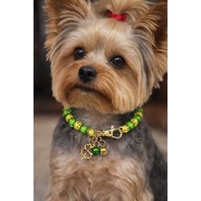 Feyza Design Renkli Köpek Tasması, Boncuklu Şık ve Rahat Kullanım Sağlar