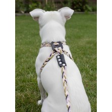 Feyza Design Ayarlanabilir Köpek Göğüs Tasması ve Gezdirme Kayışı, Küçük ve Orta Irk Için