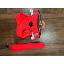 Feyza Design Renkli Köpek ve Kedi Göğüs Tasması ile Güvenli ve Şık Gezintiler