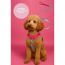 Feyza Design Ayarlanabilir H Tipi Köpek Göğüs ve Gezdirme Tasması Seti, Konfor ve Şıklık Sağlar