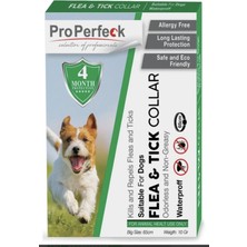 Feyza Design Doğal Köpek Tasmaları, Yaz Ayları Için 65 cm Kene Önleyici