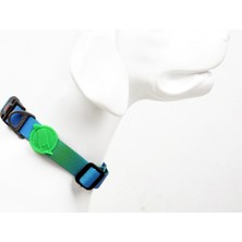 Feyza Design Ayarlanabilir Köpek Boyun Tasmaları, Dayanıklı ve Konforlu Tasarım