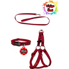 Feyza Design Küçük Irk Köpekler Için Renkli Günlük Gezdirme Seti