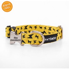 Feyza Design Canlı Sarı Köpek Tasması ve Köpek Künyesi, Isimlik ile Güvenliğiniz