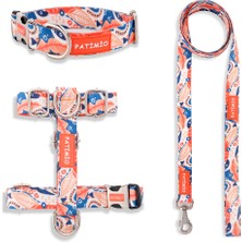 Feyza Design Rahat ve Şık Köpek Göğüs, Boyun ve Gezdirme Tasma Seti Seti