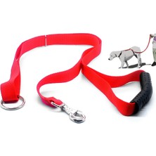 Feyza Design Köpek Eğitimi ve Gezdirme Tasması, Kırmızı, Rahat ve Dayanıklı Tasarım