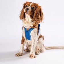 Feyza Design Nefes Alan Mavi Air-Mesh Köpek ve Kedi Göğüs Tasması