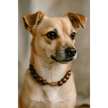 Feyza Design Şık Köpek Kolye Tasması 40 Cm, 20 cm Çap, Rahat ve Dayanıklı Tasarım