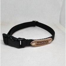 Feyza Design Kişiye Özel Deri Köpek Boyun Tasması, Şık ve Rahat Kullanım