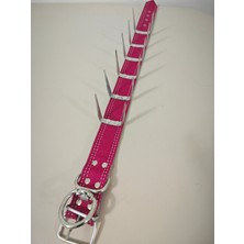 Feyza Design Dayanıklı Çivili Köpek Tasması, Güçlü ve Güvenli Tasarım