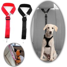 Feyza Design Güvenli ve Konforlu Araba Köpek Emniyet Kemeri, Siyah Renk
