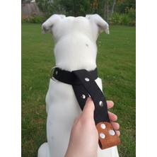 Feyza Design Ayarlanabilir Köpek Boyun Tasması, Tüm Irklar Için Rahat ve Güvenli