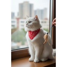 Feyza Design Kırmızı Renk Fularlı Kedi ve Küçük Irk Köpek Tasması