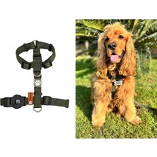 Feyza Design Konforlu ve Dayanıklı H Tipi Göğüs Tasması, Güvenle Kullanın