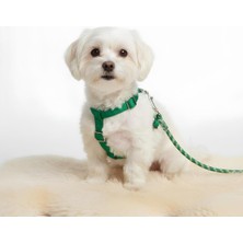 Feyza Design Konforlu Köpek Vücut Tasması, Güvenli ve Dayanıklı Tasarım