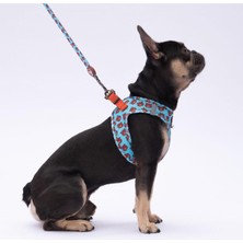 Feyza Design Kedi ve Köpekler Için Hava Fileli Tasma ve Gezdirme Kayışı Seti