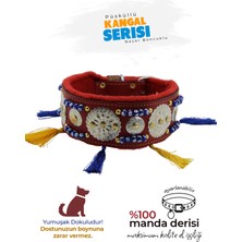Feyza Design Püsküllü Deri Boyun Tasması, Güçlü ve Şık Köpek Tasması