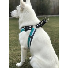 Feyza Design Ayarlanabilir Köpek Göğüs Tasması Orta ve Büyük Irk, Turkuaz, Beyaz, Gri