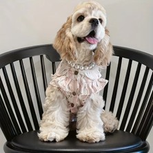 Feyza Design Şık Incili Köpek Kolyesi ve Tasması, Zarif Tasarım, Güçlü Bağlantı