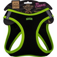 Feyza Design Havalı Neon Köpek Göğüs Tasması, Küçük Irk, Tr, Sarı, Xsmall, 26-30 cm
