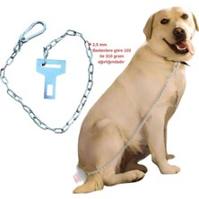 Feyza Design Güvenli Evcil Hayvan Araç Emniyet Kemeri ve Zincir Seti