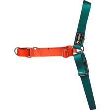 Feyza Design Konforlu ve Kullanışlı Ön Çekmeli Köpek Göğüs Tasması