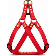 Feyza Design Ayarlanabilir Sağlam Köpek Tasması, Konforlu ve Dayanıklı Tasarım