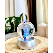 PremiumPort 3 Boyutlu Ayıcıklı Aşk Küresi, Renkli Işıklı Kristal Dekorasyon