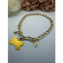 Feyza Design Renkli Zincirli Köpek ve Kedi Tasması, Isimli ve Künye Detaylı