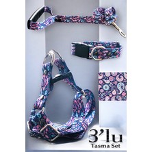 Feyza Design 3'lü Köpek Tasma Seti, Göğüs ve Boyun Tasması, Gezdirme Kayışı