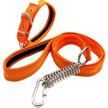 Feyza Design Renkli Köpek Tasması ve Gezdirme Seti, Rahat ve Şık Tasarım