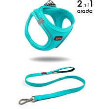 Feyza Design Air-Mesh Köpek ve Kedi Göğüs Tasması ile Gezdirme Kayışı Seti Turkuaz