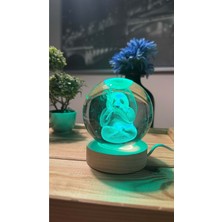 PremiumPort 3D Işıklı Cam Küre, Sürprizli Dekoratif Hediye