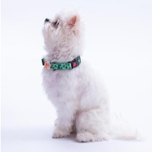 Feyza Design Renkli Kurbağa Desenli Ayarlanabilir Köpek Boyun Tasması