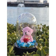 PremiumPort Işıklı Kalp Tutan Ayıcık Cam Fanus Dekorasyon Hediye