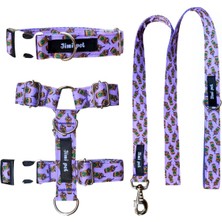 Feyza Design Renkli ve Şık Köpek Tasma Seti, Rahat Kullanım ve Şıklık Sağlar