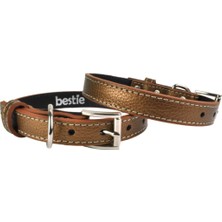 Feyza Design Orta Boy Deri Köpek Tasması, 45 Cm, Şık ve Dayanıklı Tasarım