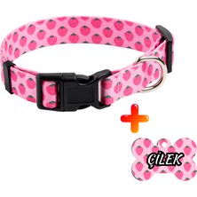 Feyza Design Çilek Desenli Köpek Boyun Tasması ve Isimlikli Ikili Set