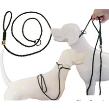 Feyza Design Yarışma ve Eğitim Için Şık Köpek Tasması, Dayanıklı ve Rahat Kullanım