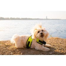 Feyza Design Nefes Alan Airmesh Kedi ve Köpek Göğüs Tasma, Rahat ve Şık Yeşil Tasarım